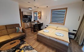 Apartman Veka-Hotel Ovruc
